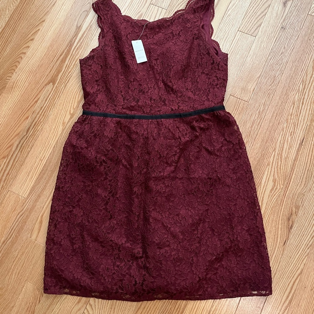 NWT Ann Taylor LOFT Lace Scalloped sleeveless dress with black trim size 12P